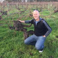 IFG Employee Chris Owens's profile photo