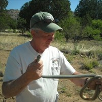 Milan Bull Email & Phone Number