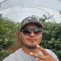 AGROVISION CORP Employee Julio Cabrera's profile photo