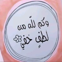 Solotex Employee Yasser Zaki's profile photo