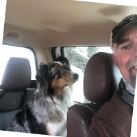 Dog is Good Employee Sean Kight's profile photo