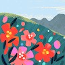 Amber Pena Email