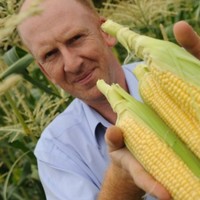 NIAB Employee Bruce Napier's profile photo