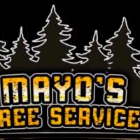 Bayou Tree Service Employee Stephen Mayo's profile photo