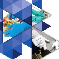 Summitech, LLC Employee Gloves's profile photo