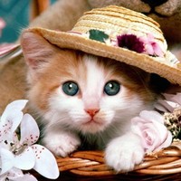 Golden Labels Employee Reena Best's profile photo