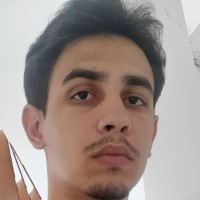 Level 5 Employee Felipe Sucupira's profile photo