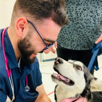 Ontario Veterinary College, University of Guelph Employee Abdul Alashraf's profile photo