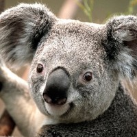 ValueOptim Employee John Añasco's profile photo