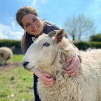 PETA Foundation Employee Mimi Bekhechi's profile photo