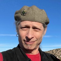 Peter Jacobson