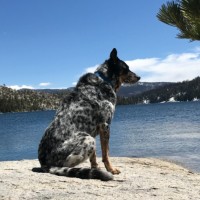 Hydrotech Solutions, LLC Employee Randal Steiner's profile photo