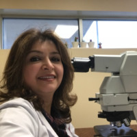 Southern Regional Medical Center Employee Laleh Ehsani's profile photo