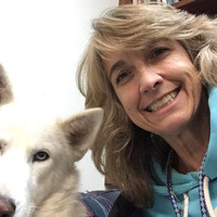 Pet Hospital Employee Janet Jacobs's profile photo