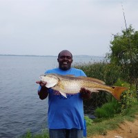 IBEW LOCAL UNION NO. 60 Employee William Parker's profile photo