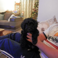 Modus Employee Raymond Robinson's profile photo