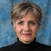 Negin Sheaar's profile photo