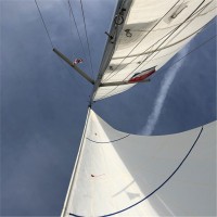 Schönhofer Sales and Engineering GmbH Employee Thomas Haake's profile photo