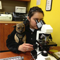 MedVet Medical & Cancer Centers for Pets Employee Olivia P.'s profile photo