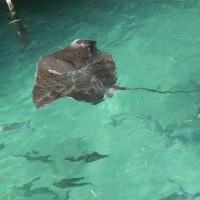 Walmart Employee May B's profile photo