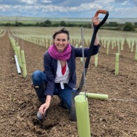 WINES OF GREAT BRITAIN Employee Nicola Bates's profile photo