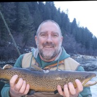 YMC, Inc. Mechanical Contractors Employee Shea Henrie's profile photo