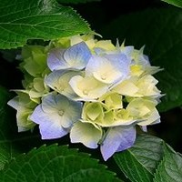 DACOM Employee Youngmin Lim's profile photo