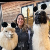 Bianca Lisboa's profile photo