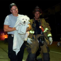 Fulton County Animal Control Employee Timothy Poorman's profile photo