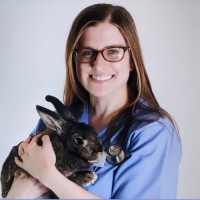 The Ontario SPCA and Humane Society Employee Ellen Glenn's profile photo