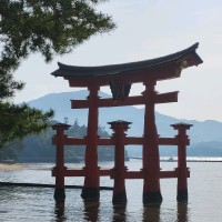 Team for the Planet Employee Eric Ledoux's profile photo