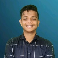 SkyLux Travel Employee Dev Aryan's profile photo