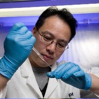 Peter Maccallum Cancer Centre Employee Ashley Ng's profile photo