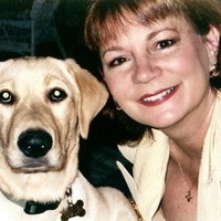 Seminole Harley Davidson Employee Sandy Cannon's profile photo