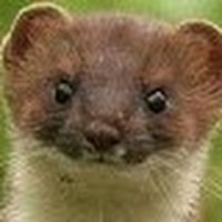 Air Reading Employee Michael Weiss's profile photo