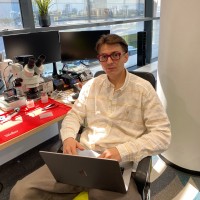 Bobnet Employee Răzvan Răspop's profile photo