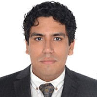 Luis Fernando Llanos Illescas Email