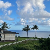 Tomas Cruz Email & Phone Number