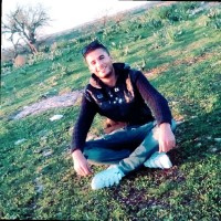 Hamza Hamadneh Email