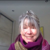 Self-Employed Employee Deb Fox's profile photo