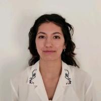 Katherine Shen Email