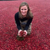 Ocean Spray Cranberries Employee Amy Witkowski's profile photo