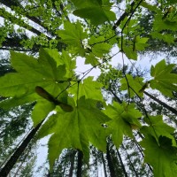 Christopher Hogan Email & Phone Number