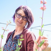 McDowell Sonoran Conservancy Employee Melanie Tluczek's profile photo