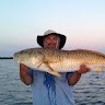 SoftWash Systems® Employee Ted Michaelis's profile photo
