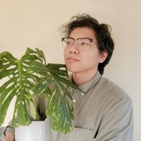 iPrevail Employee Tien Nguyen's profile photo