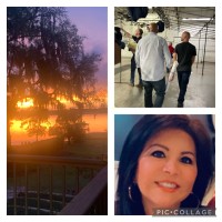 ECO Electric, LLC Employee Luz Fernandez's profile photo