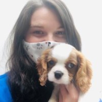 Triangle Veterinary Referral Hospitals Employee Liz Schottland's profile photo