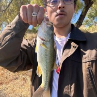 Husd Employee Alvaro Navarro's profile photo