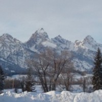 Stacey Cobb Email & Phone Number